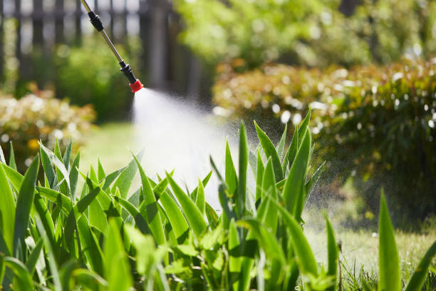 Tamper-Resistant Bait Stations for Rodents in Appleton