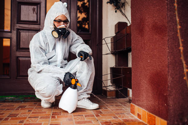 Attic and Crawl Space Rodent Treatment in Appleton