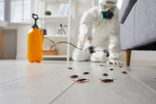 Commercial Rodent Management in Appleton